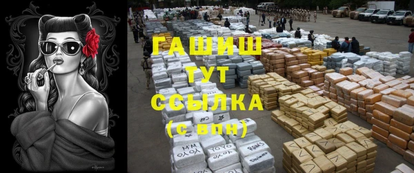 тгк Белокуриха