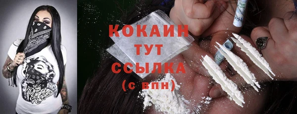 тгк Белокуриха