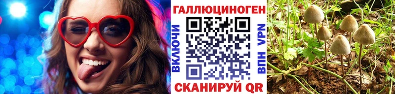 Псилоцибиновые грибы MAGIC MUSHROOMS где купить Буйнакск