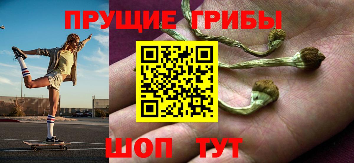 цена   Псилоцибиновые грибы мухоморы  Вход с VPN  Псилоцибиновые грибы Magic Shrooms  Буйнакск 